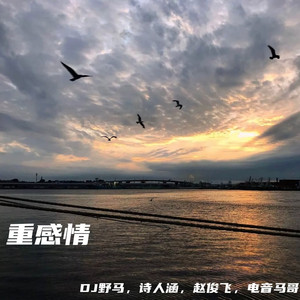 亚洲高清有码中文字
