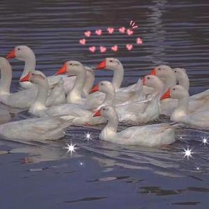 亚洲高清有码中文字
