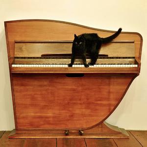 亚洲高清有码中文字
